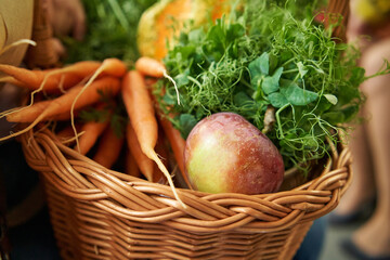 Apples, carrots and pea shoots in a basket - returning from the farmers market