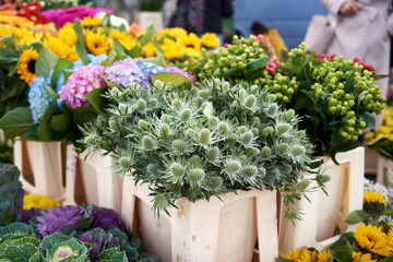 Fresh plants and flowers on display at the farmers market