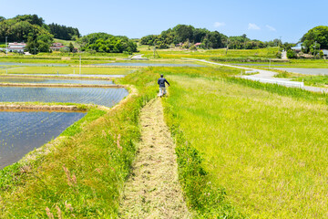 日本の農業　休耕田畔の自走式草刈機による除草作業
