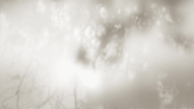 Abstract 4k stock sepia video background. Morning sunlight and tree shadows blowing by wind reflecting on rural old texture of weathered wall. Natural leaves of many trees overlay on flat surface