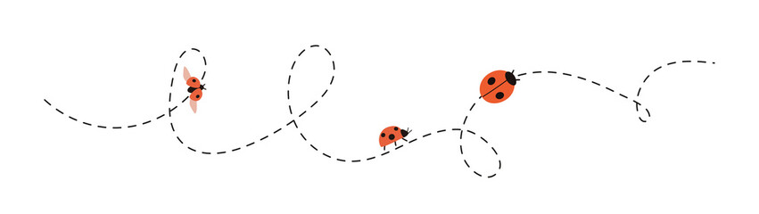 Cartoon ladybugs fly and crawl along the dotted line. Dotted line flying insects. Vector illustration of a red bug with wings, top and side. Hand drawn red spotted bug isolated. © Larisa Zaytseva