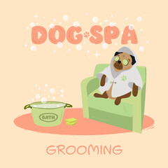 illustration with dog for grooming salon.