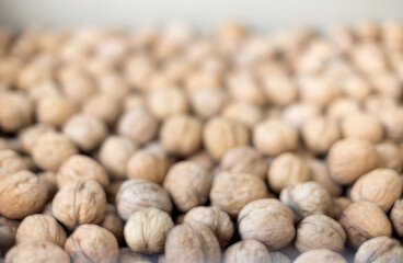 dried walnuts in the shell in bulk, Tilt-Shift