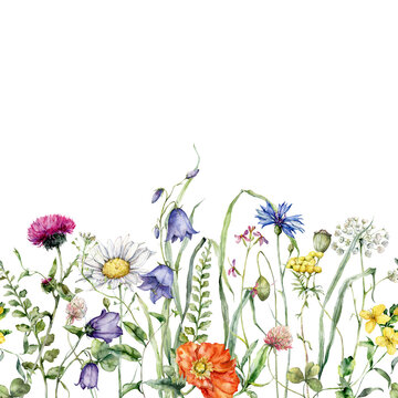 Watercolor meadow flowers border of chamomile, clover and campanula. Hand painted floral card of wildflowers isolated on white background. Holiday Illustration for design, print, background.