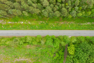 Sosnowy, wysoki las. Wśród wysokich drzew widoczna jest szara nitka przebiegającej przez las drogi asfaltowej. Pobocza porośnięte są zieloną trawą. Widok z drona.
