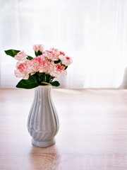 Pink white pastel Dianthus Carnation flowers in vase on table, Clove pink ,still life for background or wallpaper for text letter ,mother's day ,women's day ,soft color romantic love tone ,copy space 