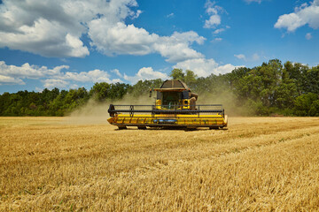 Fototapeta premium Combine Harvester Cutting Wheat, Summer Landscape of endless