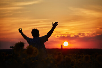 Fototapeta na wymiar Silhouette of happy successful corn farmer in cornfield in sunset with arms raised in the air