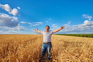 Naklejka na ściany i meble An adult man in a farm field among ripe cereals and raised his arms to the sides.