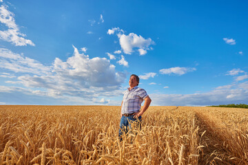 Happy farmer proudly standing in wheat field. Agronomist wearing corporate uniform, looking at...