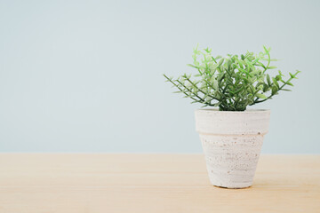 green fake tree in grunge little white pot on wooden desk with blue background included copy space,  simplicity concept