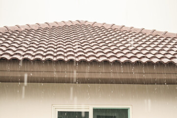 rain falling down from the house roof - Powered by Adobe