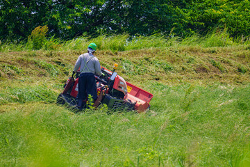 土手沿いの雑草を刈り取る作業中