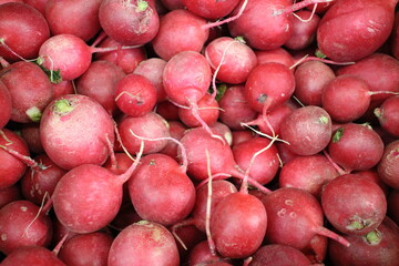 red radish in the market on the counter
