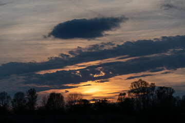 Forest silhouette and clouds during sunset, cumulus cloud above two incline stripes of clouds, sun glow throung cirrostratus nebulosus