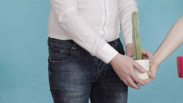 A man on a blue background changes pots with cacti, a small cactus is replaced by a large one. The concept of treatment of erectile dysfunction in men, surgical penis enlargement, close-up