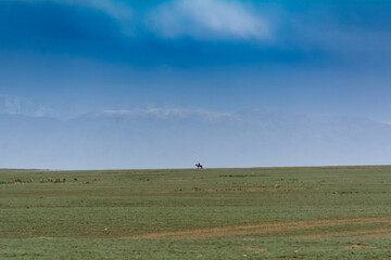 Landscape of steppe in Kazakhstan with horse rider on horizon.