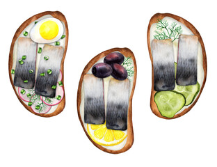 Set sandwich with salted herring watercolor