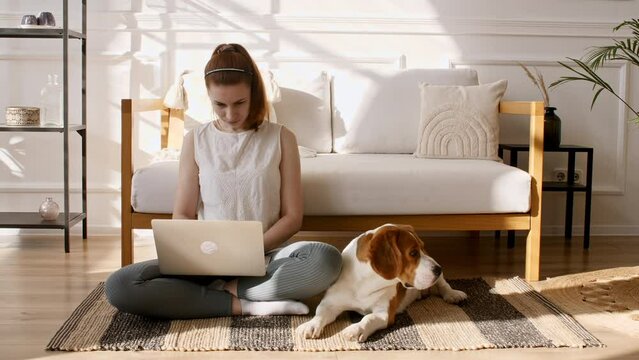 Young woman making video call, video chatting, talking. Nearby is a Dog Beagle and preparing to sleep. The puppy is resting. Mans best friend. Online Communication Concept. Slow Motion. 4k