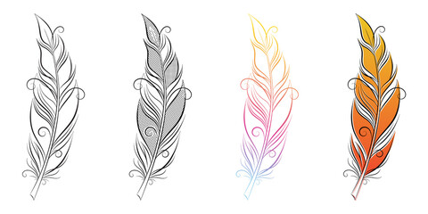 Set of stylized feathers. Fluffy feather silhouette with gradient. - obrazy, fototapety, plakaty