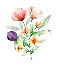 Watercolor floral bouquet. Arrangements with garden wild flowers. Botanic illustration set. Herbal elements of wild flowers, leaves