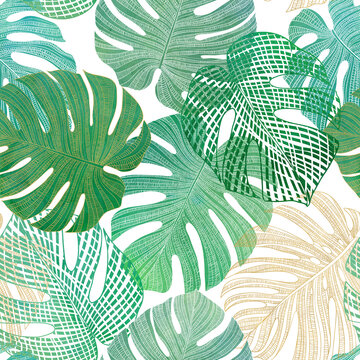 Monstera leaves seamless pattern Tropical foliage textural print Watercolor botanical background Stylized summer jungle print
