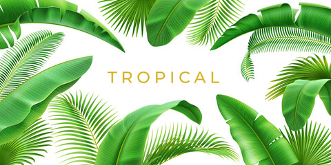 Tropical leaves frame background, 3D realistic border design element. Vector banner with spare place for text, floral jungle foliage of exotic green palm trees, Hawaii or Brazil branches