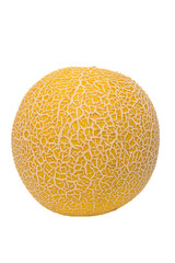 Galia melon, also sarda melon, isolated from above. Fresh, ripe fruit of Cucumis melo var. reticulatus, a sweet, aromatic melon with slightly green fruit flesh and a yellow, netted rind.