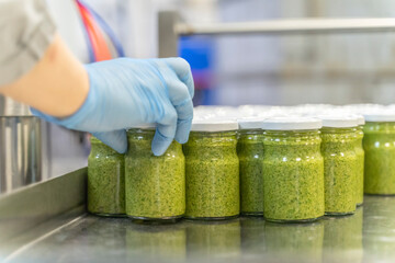 Pesto sauce with basil Industrial process. Many jars of sauce prepared for labeling. Worker at a...