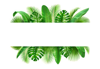 Poster with tropical 3D realistic leaves, exotic background. Vector border with spare place for text, jungle foliage backdrop. Vibrant greenery decoration, spring leaf and branches, vacation nature © Sensvector