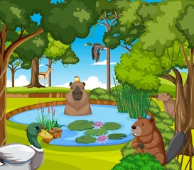 Various animals in the forest © blueringmedia