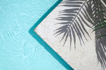 Fototapeta na wymiar Swimming pool top view background. Water ring and palm shadow on travertine stone
