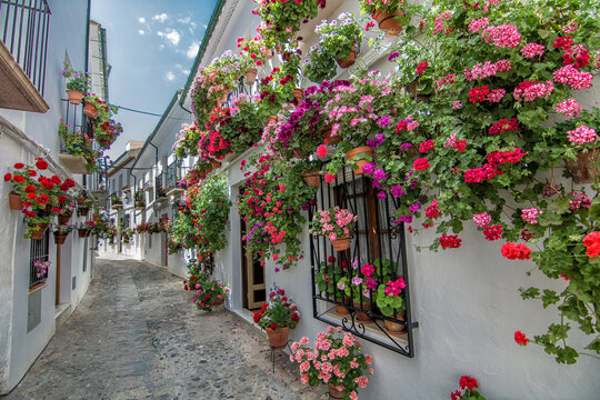 priego de c&oacute;rdoba 
