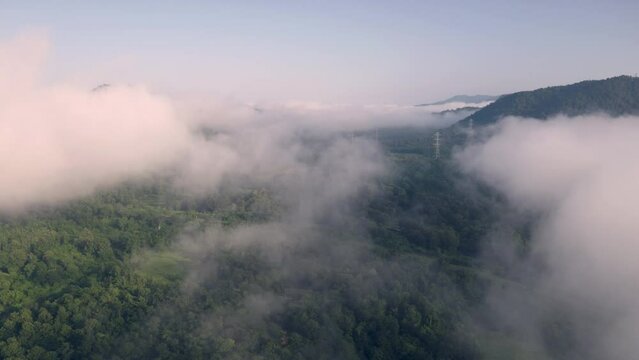 Video 4K, Aerial view Morning scenic on high mountains with electricity pylon Pang Puay, Mae Moh, Lampang, Thailand. Beautiful morning with golden sunrise and fog flowing.