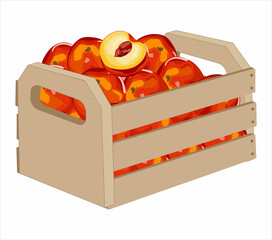 Wooden box with peaches. Vector image.