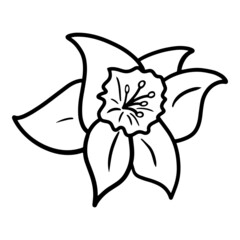 Spring flower, Simple narcissus bud, monochrome botanical vector illustration