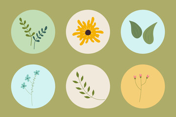 Set of highlights covers for social media. Flowers and leaves on colour background. Vector illustration.