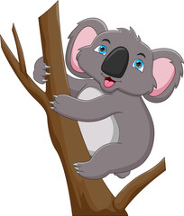 cartoon cute koala on a tree on white background © lawangdesign