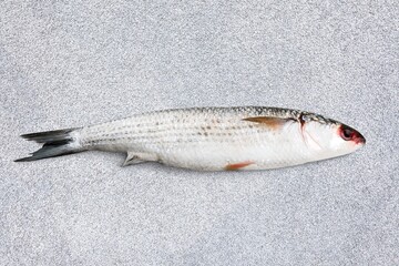 Fresh raw healthy fish, food concept