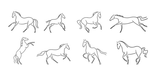 Vector line set of silhouettes horses