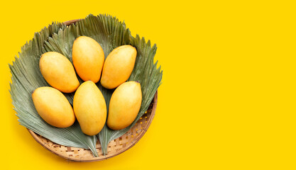 Tropical fruit, Mango on yellow background.