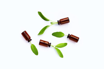 Sage leaves with essential oil bottles on white background.
