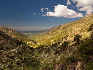 Naklejka premium Garganta Eliza