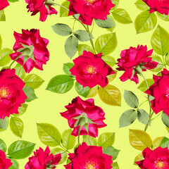Seamless pattern with red roses with foliage on a green background.