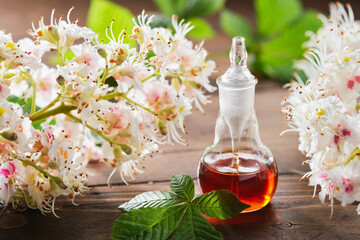 Bottle of infusion or tincture of blossom chestnuts tree. Blossoming horse chestnut twigs and...
