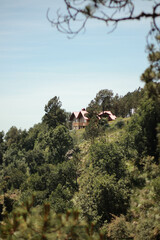nice cabin in the mountain standing out from the trees