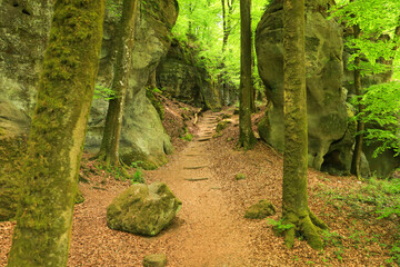 A stone staircase in the Mullerthal Trail, Luxembourg - obrazy, fototapety, plakaty