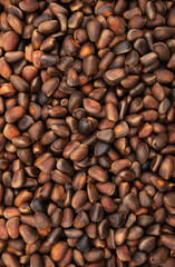 Pine nuts background. Cedar nutlets, close up.