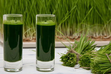 Against background substrate with sprouted wheat there two full glasses wheatgrass next bundles cut...