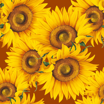 Seamless pattern with sunflower on background. Collection decorative floral design elements. Flowers, buds and leaf hand drawn
